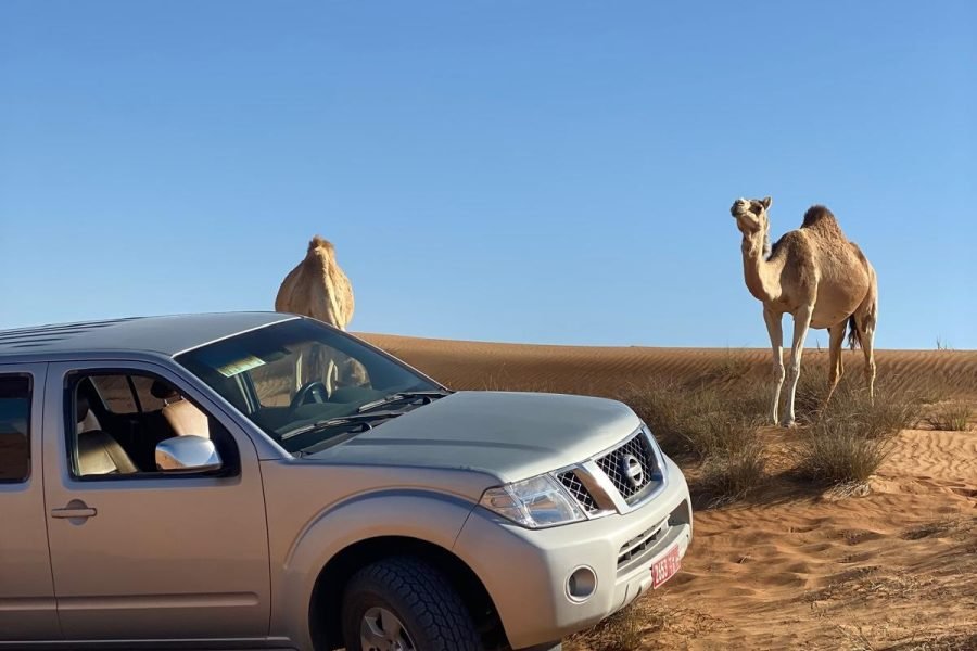 NISSAN PATHFINDER 2015