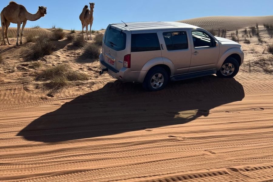 NISSAN PATHFINDER 2015