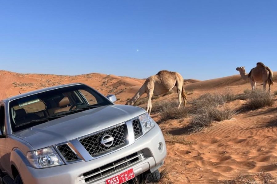 NISSAN PATHFINDER 2015