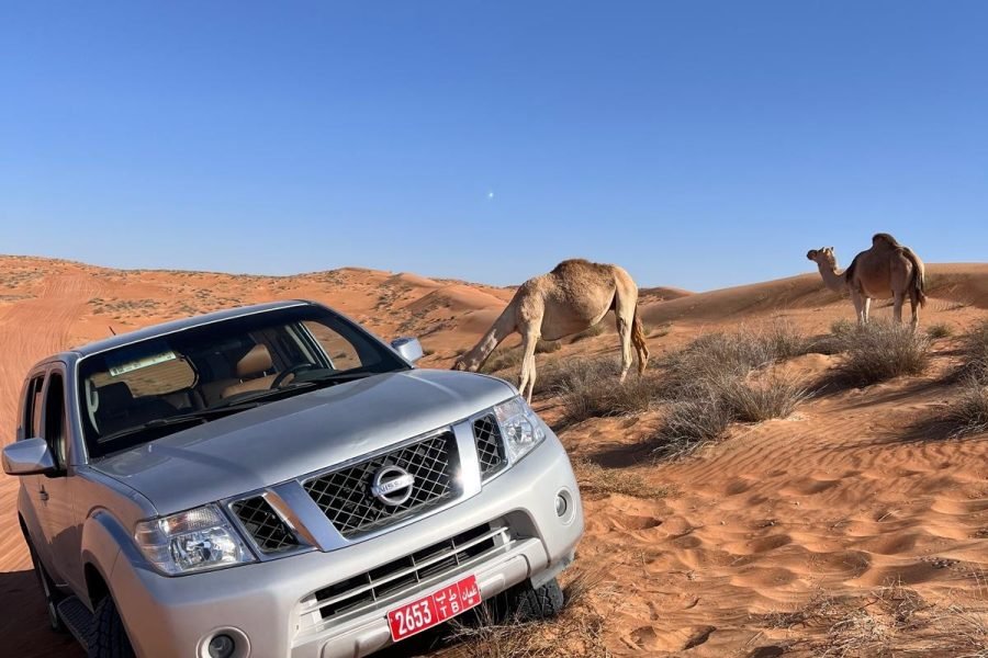 NISSAN PATHFINDER 2015