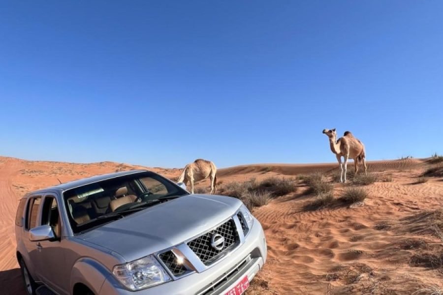 NISSAN PATHFINDER 2015